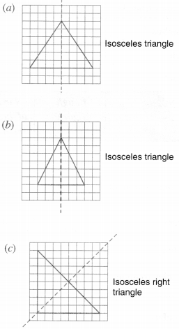 tiwari academy class 6 maths Chapter 13 Symmetry 21